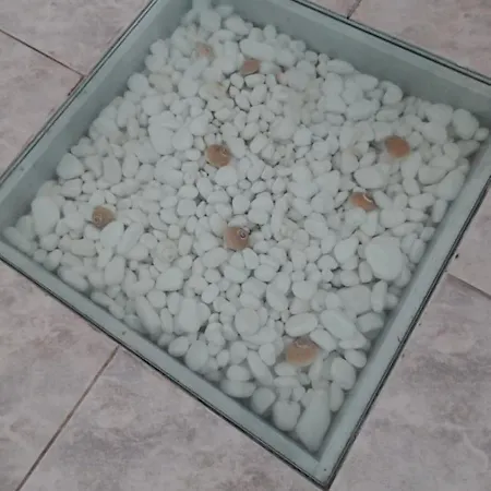 Paradise House Appartement